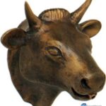 ΚΕΦΑΛΗ ΤΑΥΡΟΥ Ν. 180 BRONZE